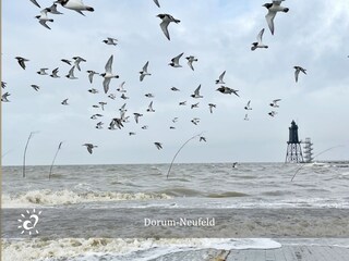 Ferienwohnung Dorum-Neufeld Außenaufnahme 26