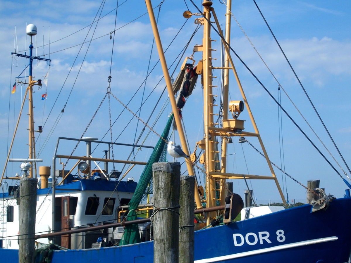 Kutter im Hafen