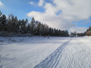 Winter im Schwarzwald