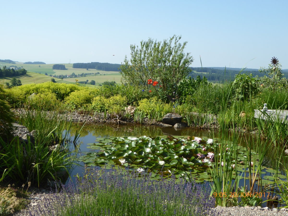 Gartenteich