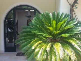 Appartamento per vacanze Torri del Benaco Registrazione all'aperto 6