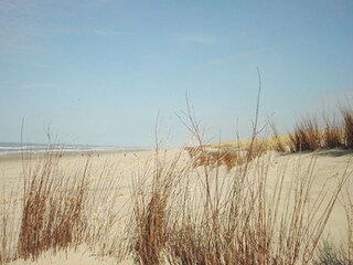 Appartamento per vacanze De Koog Ambiente 16