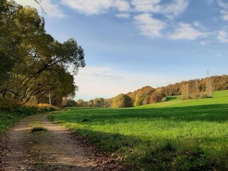 Apartment Oelsnitz im Erzgebirge Environment 30