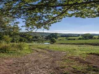 Apartment Oelsnitz im Erzgebirge Environment 32