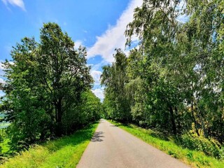 Appartement Oelsnitz im Erzgebirge Environnement 31