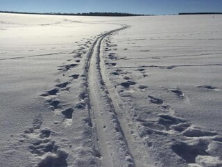 Apartment Oelsnitz im Erzgebirge Umgebung 37