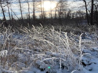 Apartment Oelsnitz im Erzgebirge Umgebung 24