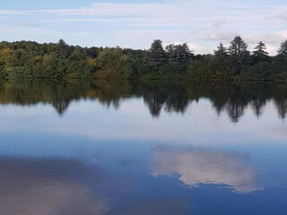 Apartamento Oelsnitz im Erzgebirge Entorno 32