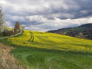 Appartamento Oelsnitz im Erzgebirge Ambiente 23