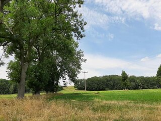 Appartement Oelsnitz im Erzgebirge Environnement 17