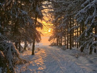 Apartamento Oelsnitz im Erzgebirge Entorno 17