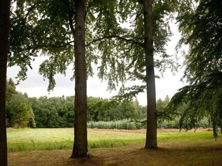 Appartamento Oelsnitz im Erzgebirge Ambiente 31