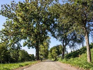 Appartamento Oelsnitz im Erzgebirge Ambiente 24