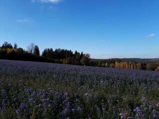 Appartamento Oelsnitz im Erzgebirge Ambiente 25