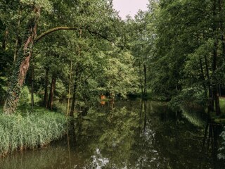 Appartement Oelsnitz im Erzgebirge Omgeving 22