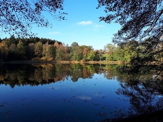 Apartamento Oelsnitz im Erzgebirge Entorno 28