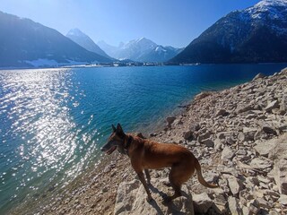 Appartamento per vacanze Achenkirch Ambiente 23