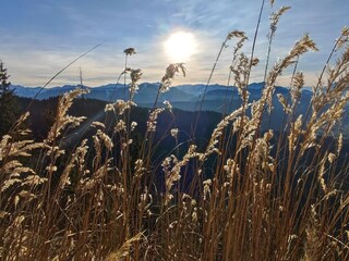 Appartamento per vacanze Achenkirch Ambiente 31