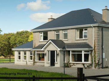 Holiday house Knockcarrig House