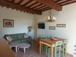 Casa per le vacanze Palaia Caratteristiche 22