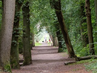 Vakantiehuis Bergen (Holland) Omgeving 19