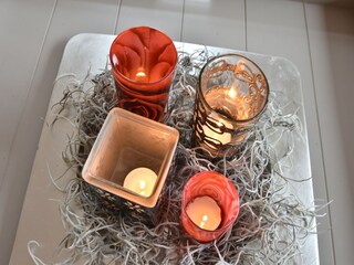 Holiday house Bergen (Holland)  22