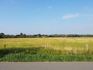 Maison de vacances Bergen (Holland) Environnement 25