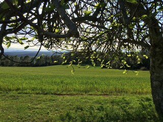 Casa de campo Navata Grabación al aire libre 5
