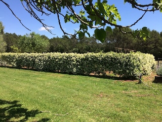 Type de propriété : Chalet Navata Enregistrement extérieur 14