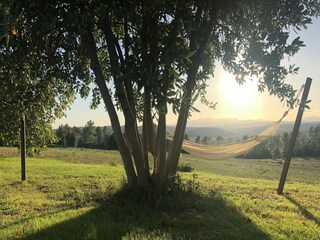 Type de propriété : Chalet Navata  40