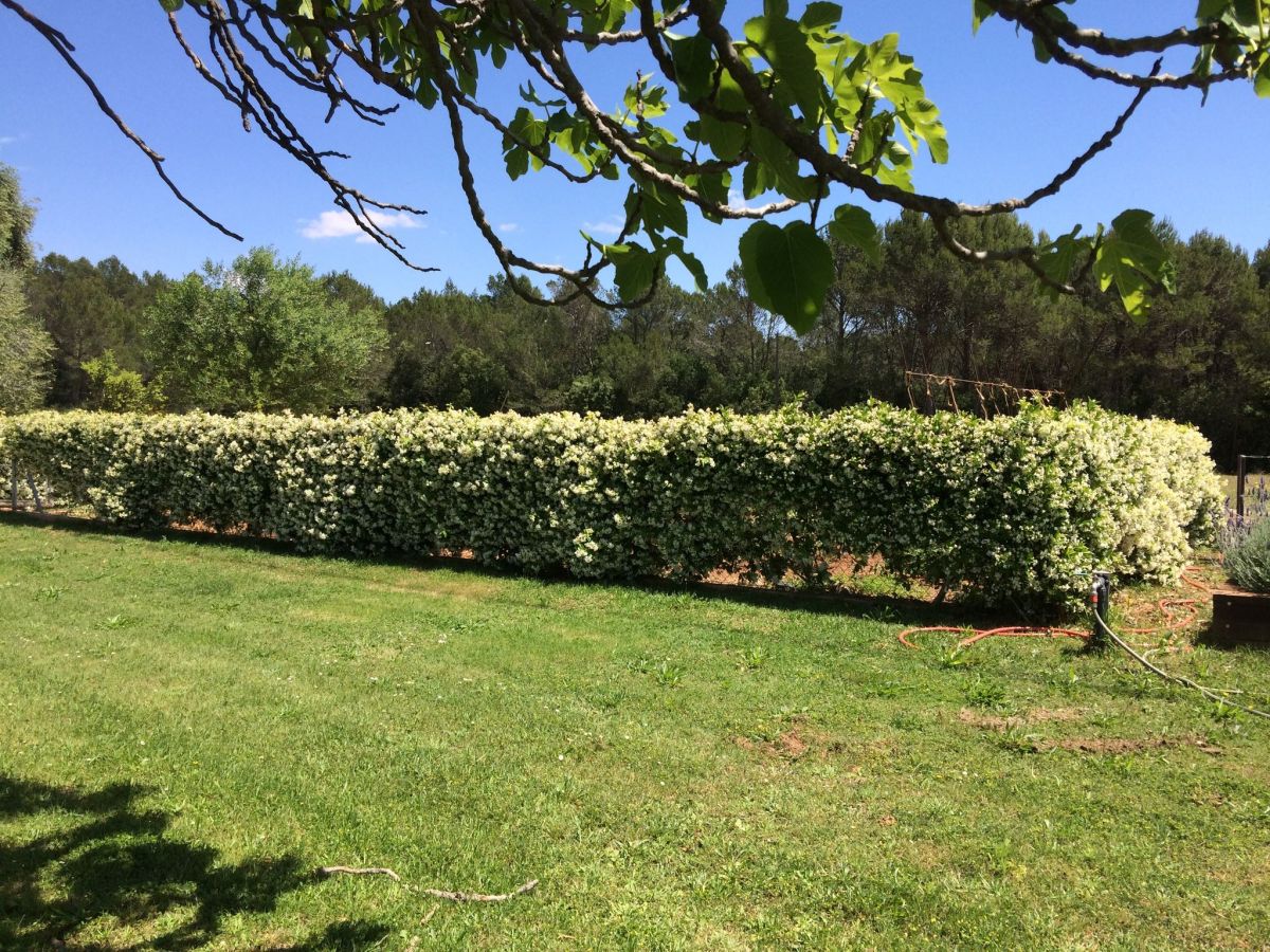 Casa de campo Navata Grabación al aire libre 1