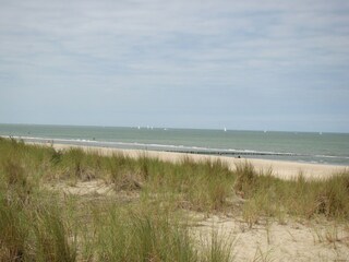 Farmhouse Zuidzande Environment 37