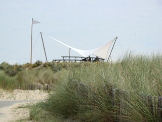 Fattoria Zuidzande Ambiente 29