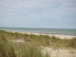 Boerderij Zuidzande Omgeving 37