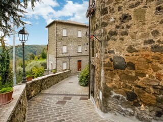 Villa Castiglione in Teverina Características 8