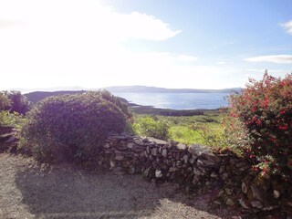 View from the terrace.