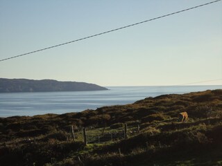 An unobstructed view of the Atlantic.