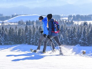 Mit Schneeschuhen die unberührte Natur genießen