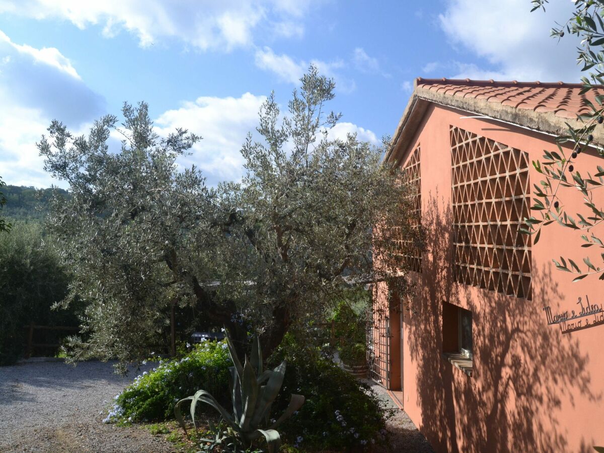 Casa de vacaciones Castagneto Carducci Grabación al aire libre 1