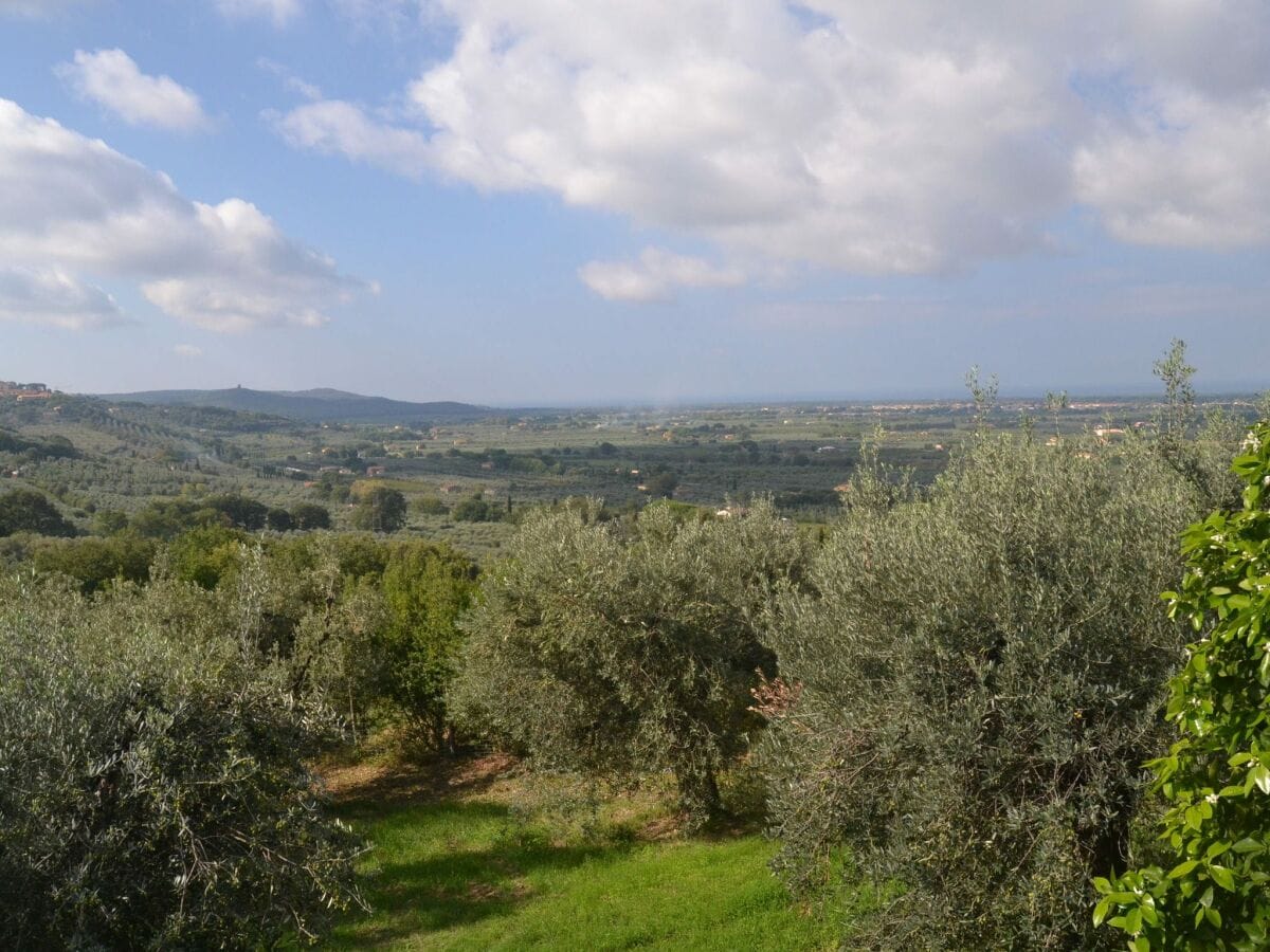 Ferienhaus Castagneto Carducci Außenaufnahme 6