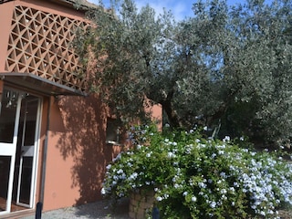 Holiday house Castagneto Carducci Outdoor Recording 10