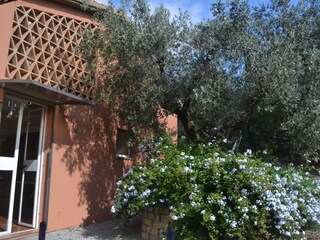 Maison de vacances Castagneto Carducci Enregistrement extérieur 10