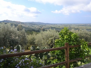 Holiday house Castagneto Carducci Outdoor Recording 11