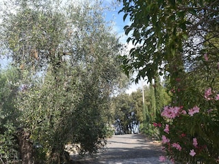 Holiday house Castagneto Carducci Outdoor Recording 12