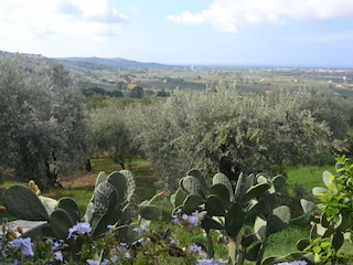 Holiday house Castagneto Carducci Outdoor Recording 15