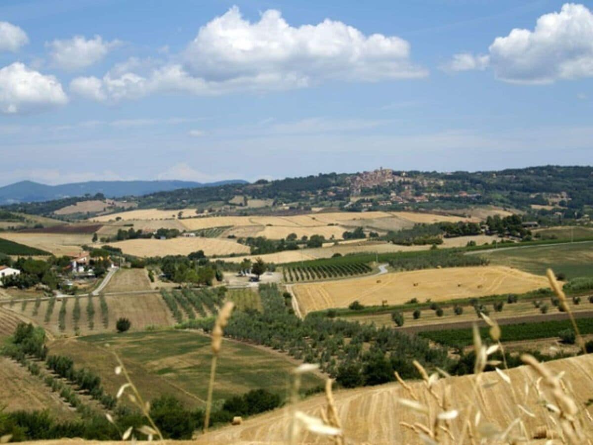 Ferienhaus Castagneto Carducci Umgebung 31