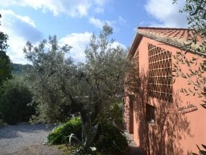 Ruhiges Ferienhaus mit Garten - Castagneto Carducci - image1