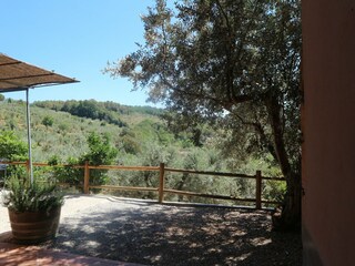 Ferienhaus Castagneto Carducci Außenaufnahme 13