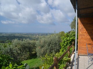 Casa per le vacanze Castagneto Carducci Registrazione all'aperto 13