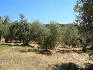 Vakantiehuis Castagneto Carducci Omgeving 32